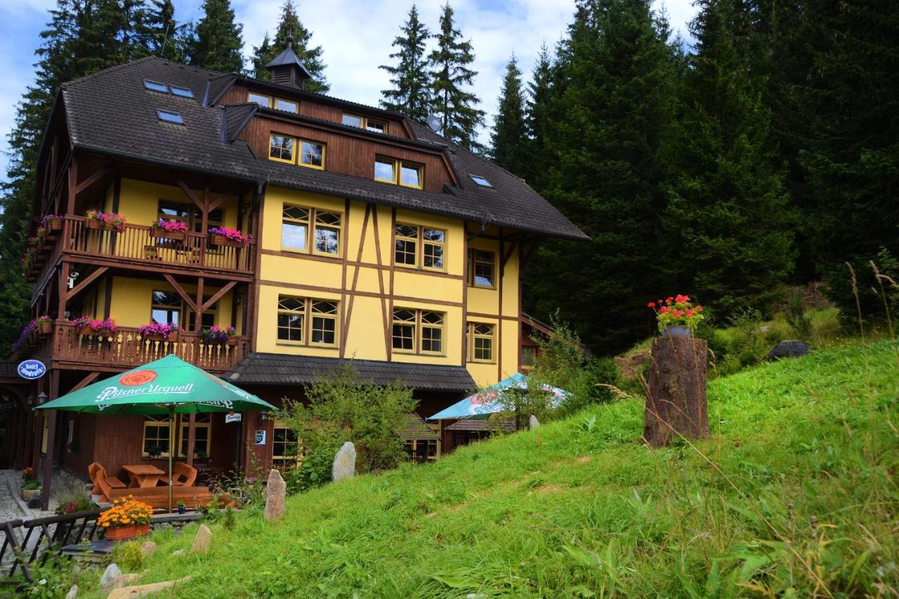 Hotel Hotel Modrava